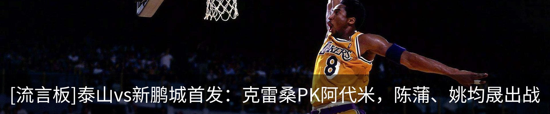 新闻动态